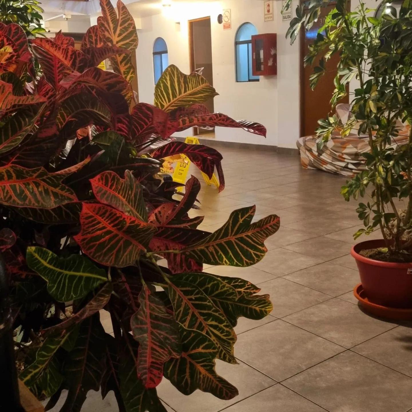 Hostel Thay83 Miraflores Lima Kültér fotó